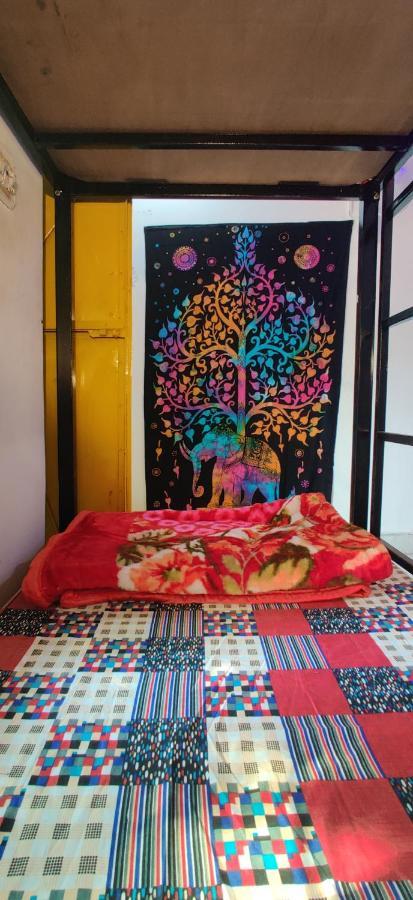 12 Monks Backpackers Community Hostel Пушкар Екстериор снимка